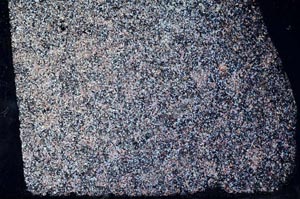 Cross Polarized, S60466/B