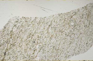 Plane Polarized, S60509