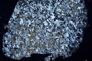 Cross Polarized, S60526