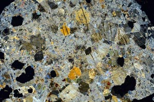 Cross Polarized, S60535