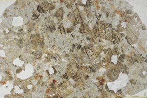 Plane Polarized, S60535