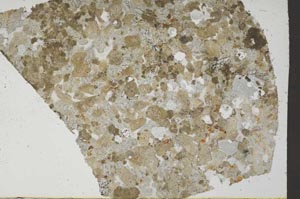 Plane Polarized, S60536