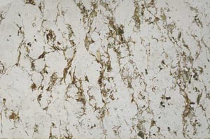 Plane Polarized, S60538