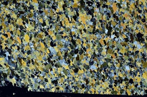 Cross Polarized, S60543