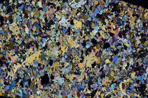 Cross Polarized, S60547