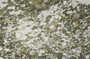 Plane Polarized, S60548