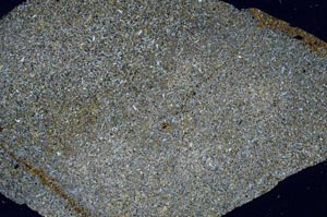 Cross Polarized, S60560