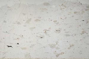 Plane Polarized, S60564