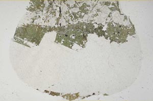 Plane Polarized, S60565