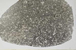 Plane Polarized, S60571