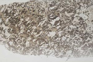 Plane Polarized, S60574