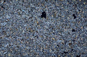 Cross Polarized, S60575