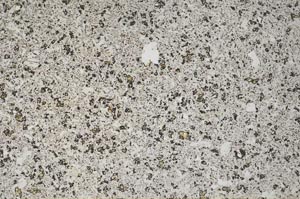 Plane Polarized, S60575