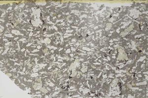 Plane Polarized, S60576