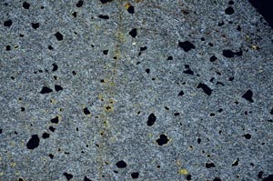 Cross Polarized, S60578