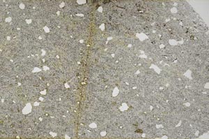 Plane Polarized, S60578