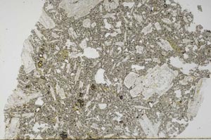 Plane Polarized, S60580