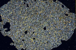 Cross Polarized, S60581