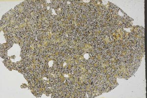 Plane Polarized, S60581