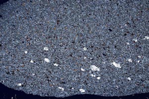 Cross Polarized, S60586