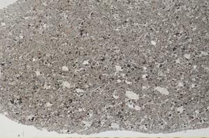 Plane Polarized, S60586