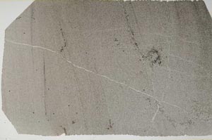 Plane Polarized, S60633