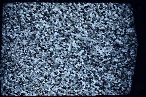 Cross Polarized, S60644