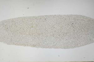 Plane Polarized, S60646