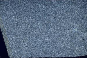 Cross Polarized, S60721