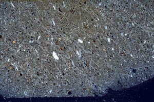 Cross Polarized, S60750