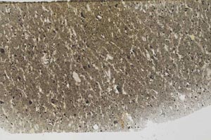 Plane Polarized, S60750