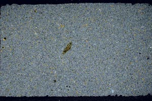 Cross Polarized, S60766