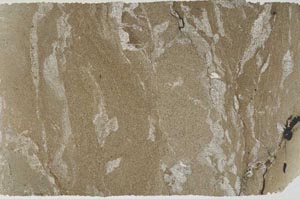Plane Polarized, S60799