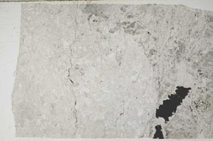 Plane Polarized, S60809
