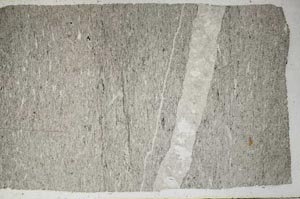 Plane Polarized, S60810