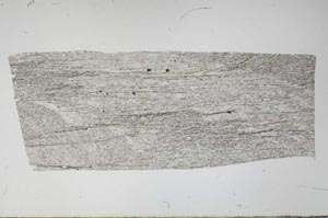 Plane Polarized, S60813/A