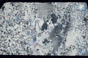 Cross Polarized, S60817