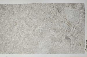 Plane Polarized, S60817/A