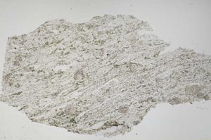 Plane Polarized, S60819