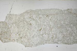 Plane Polarized, S60821