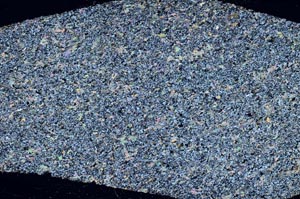 Cross Polarized, S60822