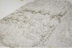 Plane Polarized, S60823