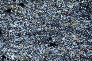 Cross Polarized, S60824