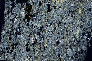 Cross Polarized, S60825