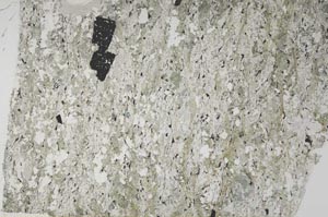 Plane Polarized, S60825