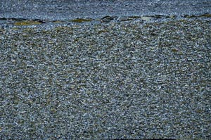 Cross Polarized, S60826