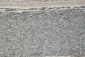 Plane Polarized, S60826