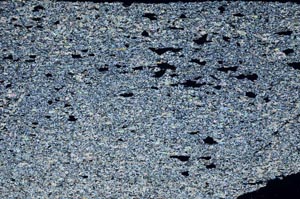 Cross Polarized, S60827