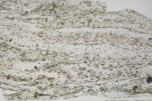Plane Polarized, S60832