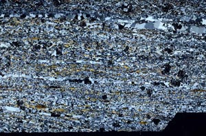 Cross Polarized, S60835